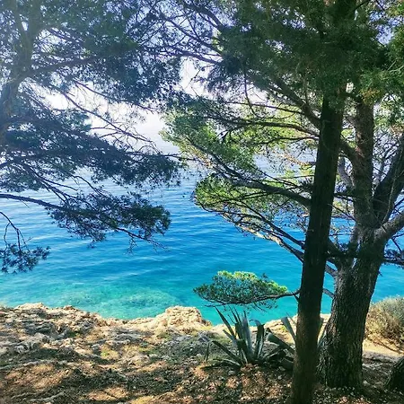 Gæstehus Radic Makarska