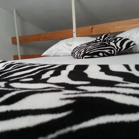 Guest house Radic 3*