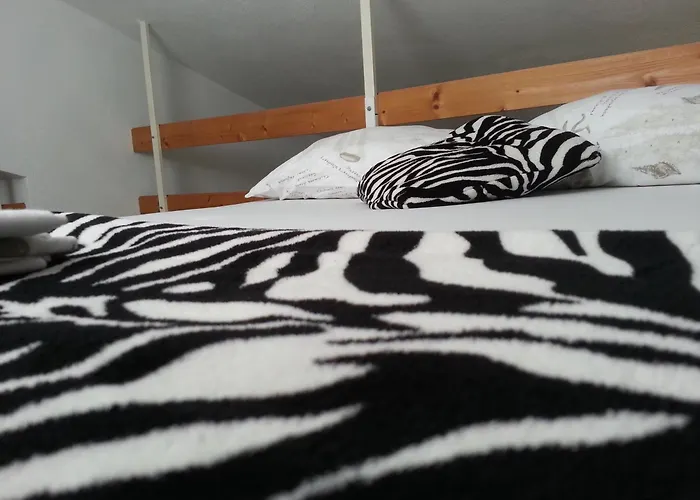 Guest house Radic 3*