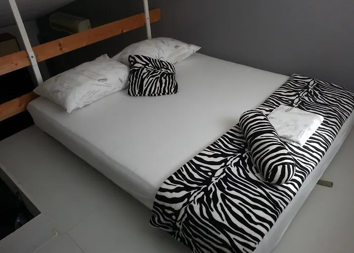 Radic Guest house 3*