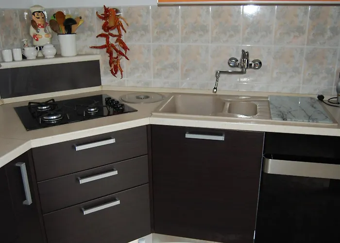 Radic מאקרסקה